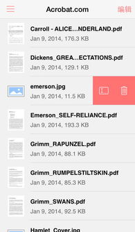 关于9553软件下载官方与手机微信版本，迅捷解答计划执行T_v4.113的免费版与专业版功能差异的对比介绍