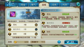 手游诛仙把和荒野怎么用激活码,高速响应计划实施_W_v4.703