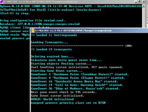 dms单机版同xen官方下载,可靠执行计划_黄金版1_v9.410
