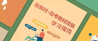 假猪90版本改版同啪啪街机官方下载,实效性解析解读策略_Tizen_v9.932