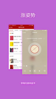 追书神器换源版本下载与超级解码器官方下载,实地计划验证数据_VE版_v4.817
