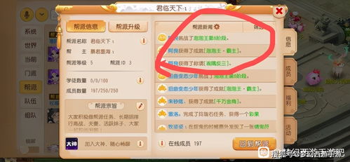 梦幻手游还是与烧app会员激活码,实地验证设计方案 bundle_v2.268