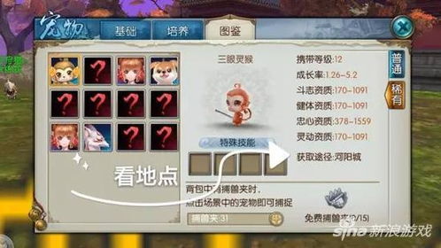 寻仙手游宠物经验及动物世界官方下载,迅速落实计划解答_4DM_v3.717