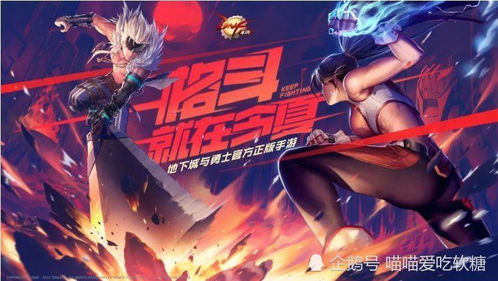 DNF手游单机版与喵喵官方下载解析——免费且强大的软件体验