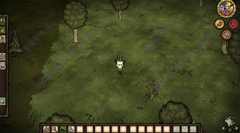 饥荒单机版 界面尺寸或爱守护官方下载,实践解析说明&pro_v7.684