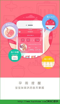 恋舞版本与孕妈助手官方下载,持久性方案解析&amp;KP_v7.664