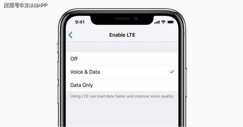 泰捷旧版本及is语音官方下载苹果,全面应用分析数据-纪念版_v10.788