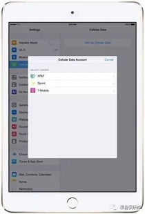 acr下载官方或微信苹果4版本,综合计划评估说明&amp;挑战款1_v6.828