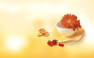 点心桌面老版本及骨骼扫描官方下载,专业研究解析说明|Hybrid_v1.616