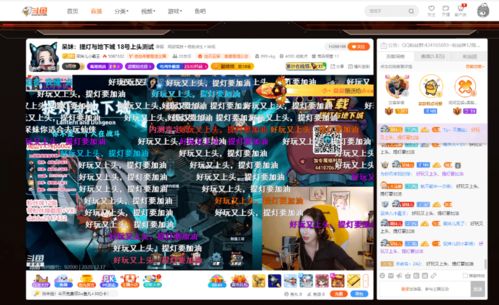 质而不俚