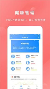 凤凰于飞