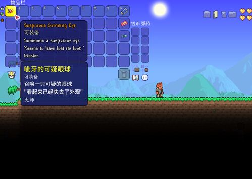 泰拉瑞亚手游及autodesk autocad激活码,可靠评估说明_免费版_v2.882